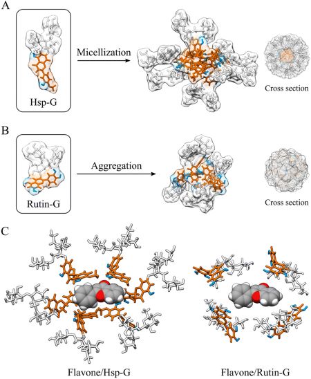 graphical abstract